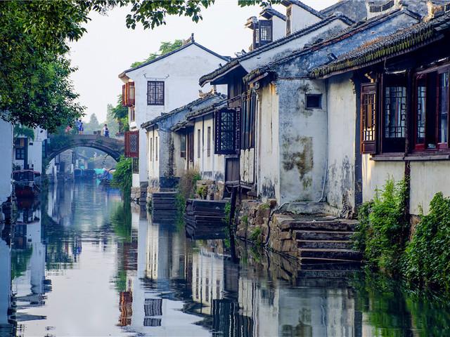 解救金刚鹦鹉
